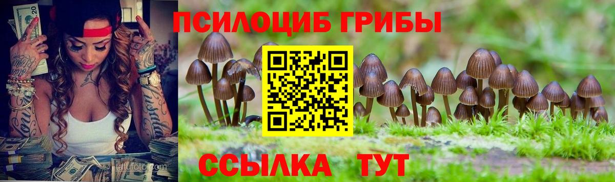 Большой Камень  Галлюциногенные грибы ЛСД  Вход с VPN  Псилоцибиновые грибы Magic Shrooms 